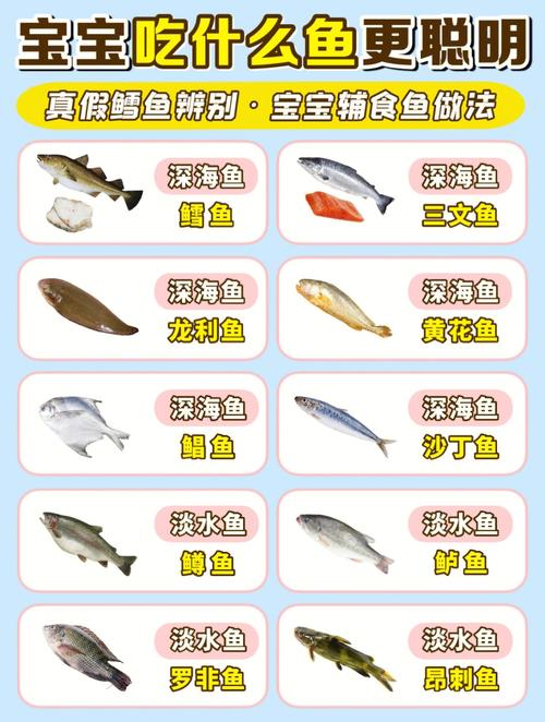 国内第三代代孕宝宝贫血吃什么辅食