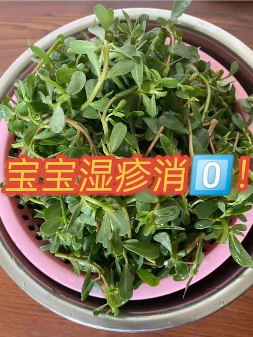 国内助孕宝宝湿疹能吃什么